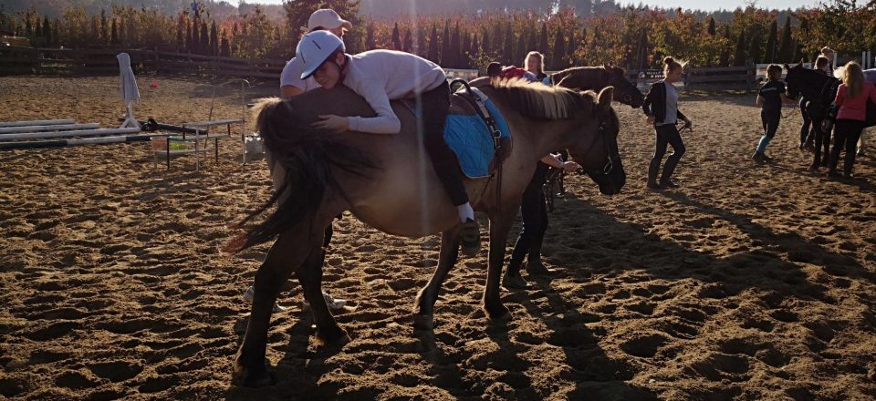 43879576_1687485138029826_5544733436889006080_o